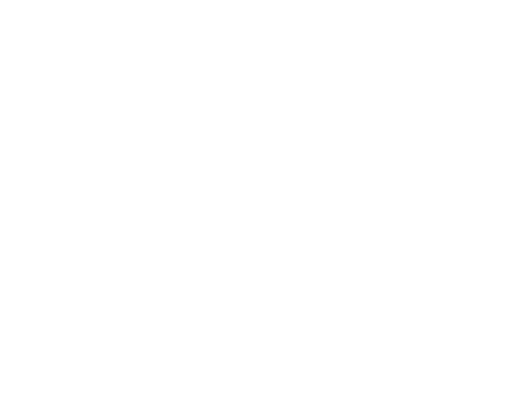 Plus Optik